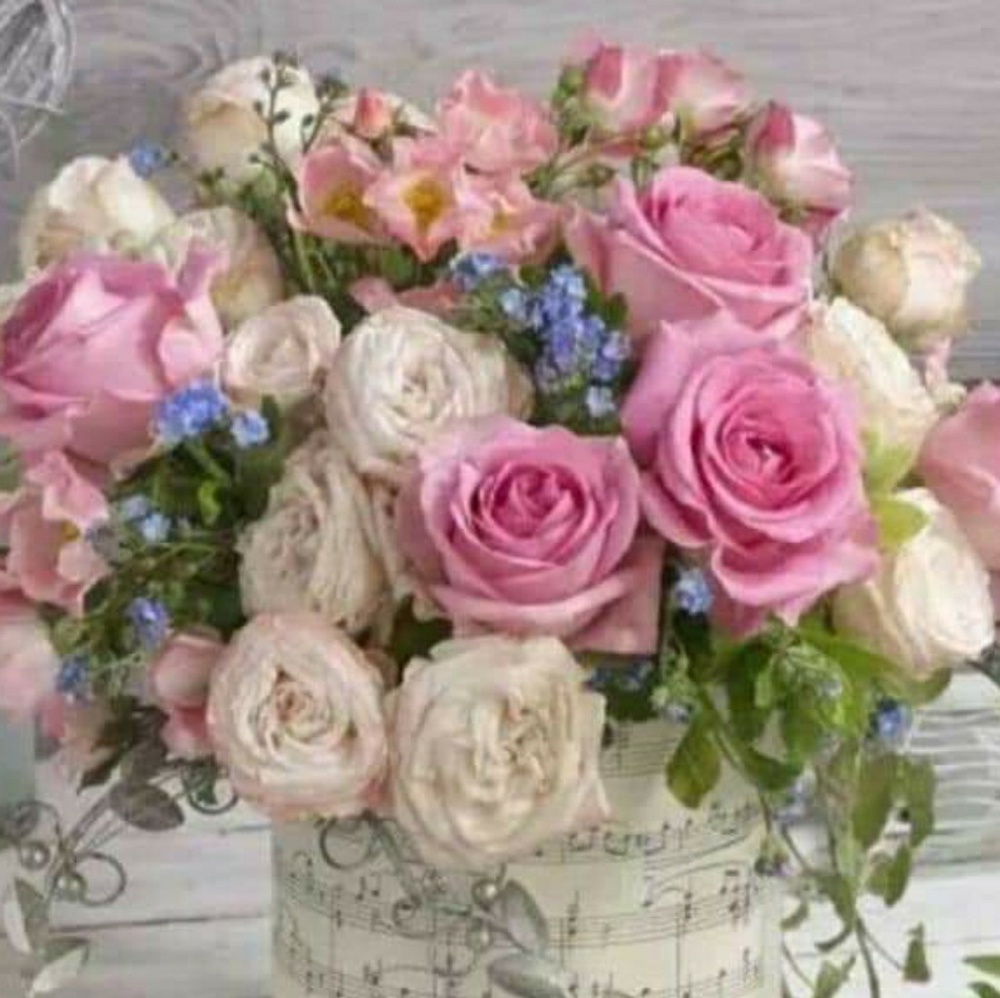 Meet your Posher, Diane